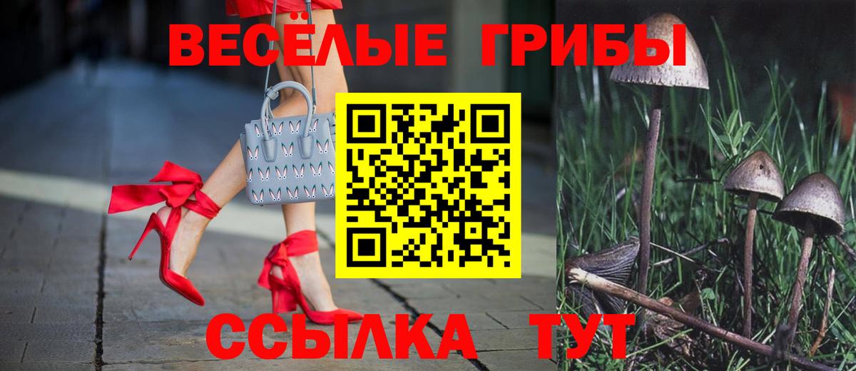 Псилоцибиновые грибы Magic Shrooms  Вход с VPN  Псилоцибиновые грибы Cubensis  цены   Ишим 
